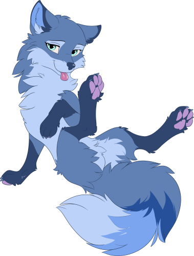 Digital drawing of a female feral blue fox furry character laying back, supporting themselves with their front left leg placed down behind them